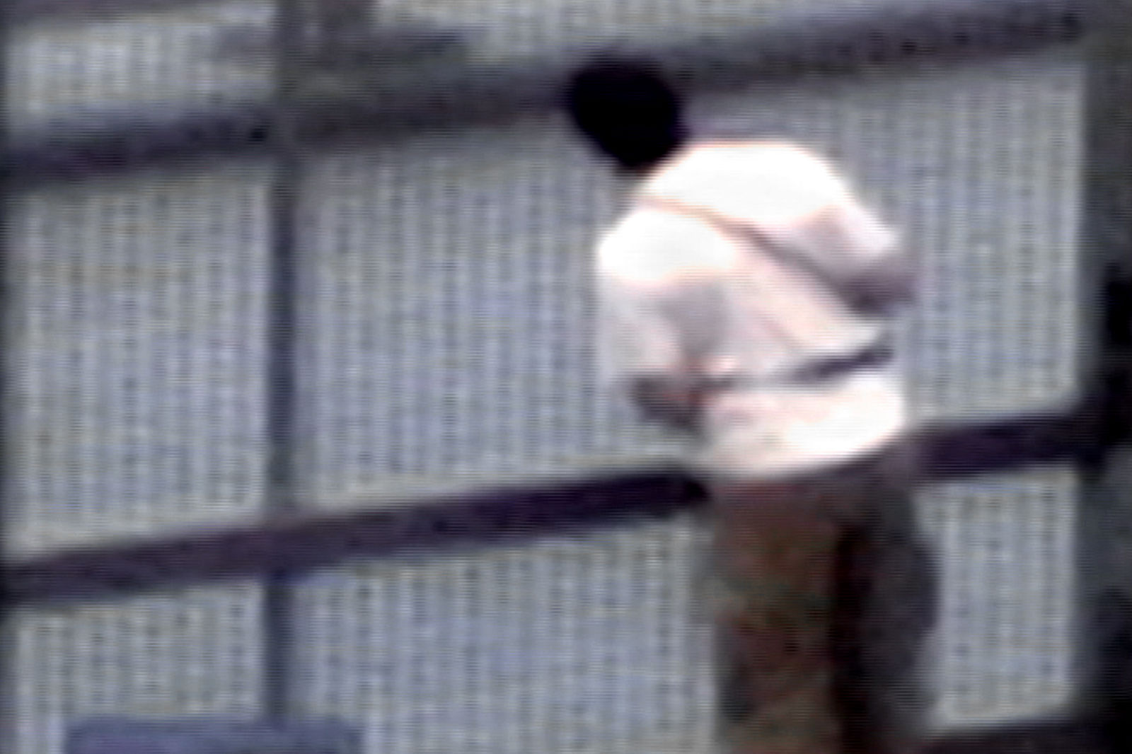 Carlos Motta, Public Domain #9, 2004