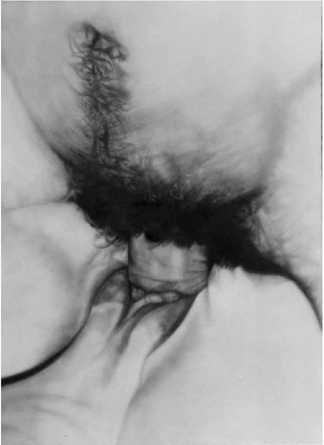 Betty Tompkins, Fuck Painting #4, 1972