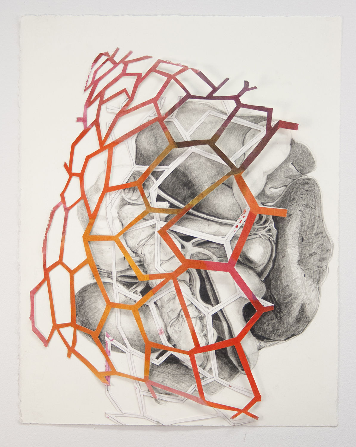 Steve Budington, Folded Figures, 2017