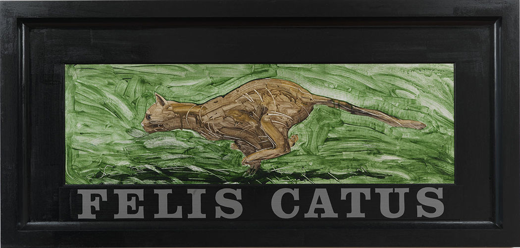 Neil Jenney, Felis Catus, 1970