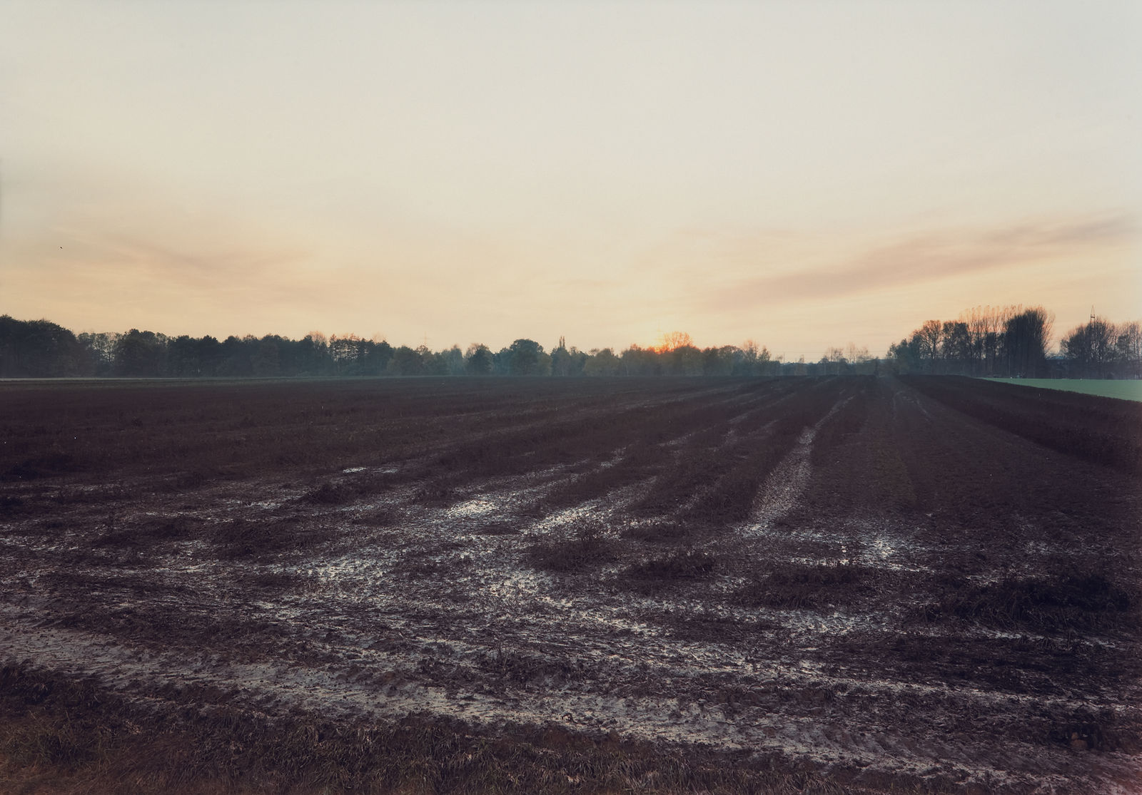 Andreas Gursky, Meerbuschm Krefeld, 1989