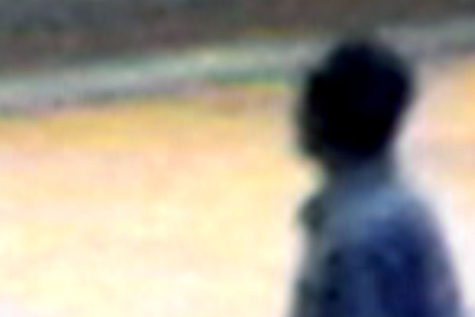 Carlos Motta, Public Domain #6, 2004