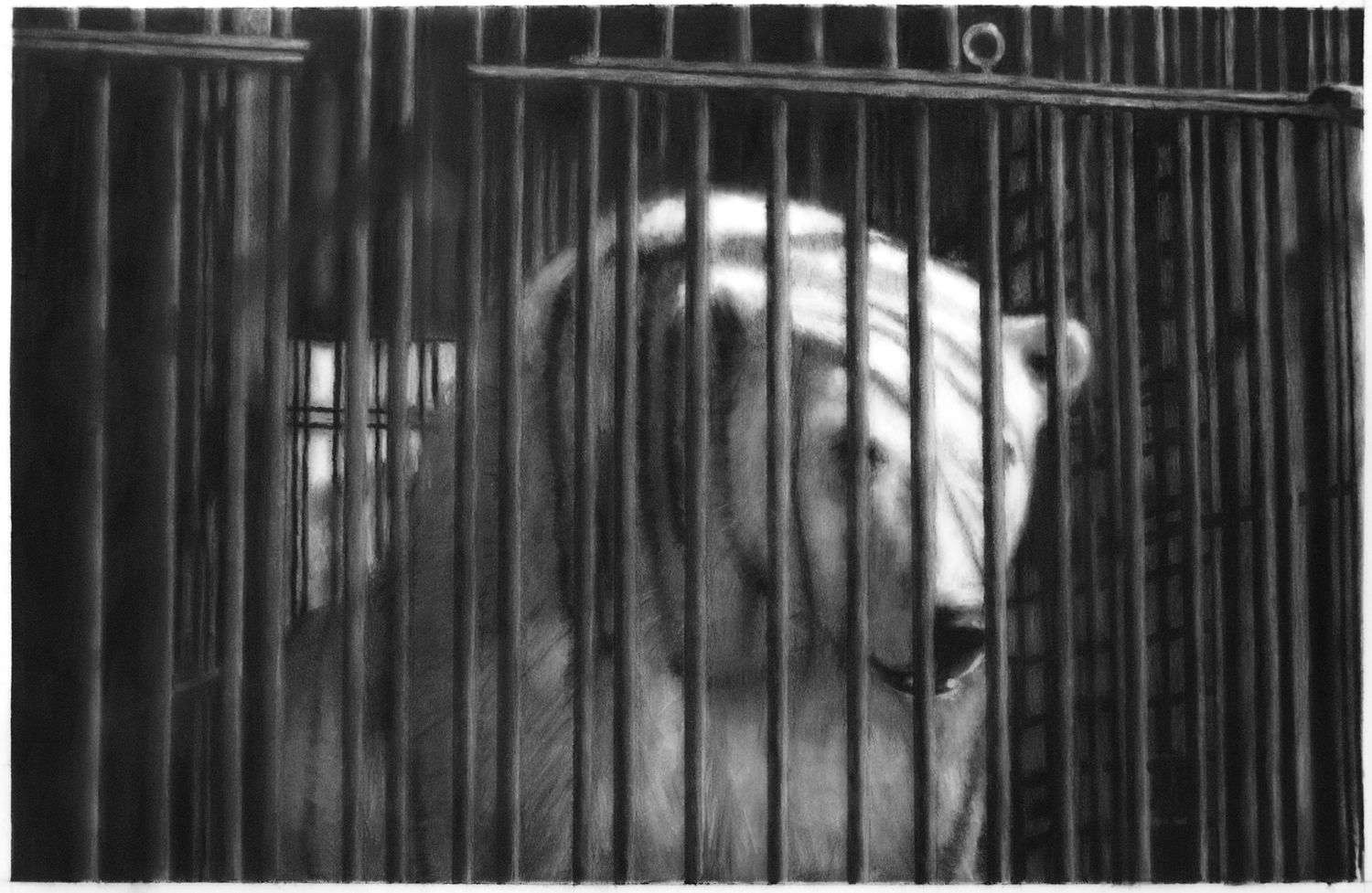 Robert Longo, Study for Caged Polar Bear (reversed), 2010