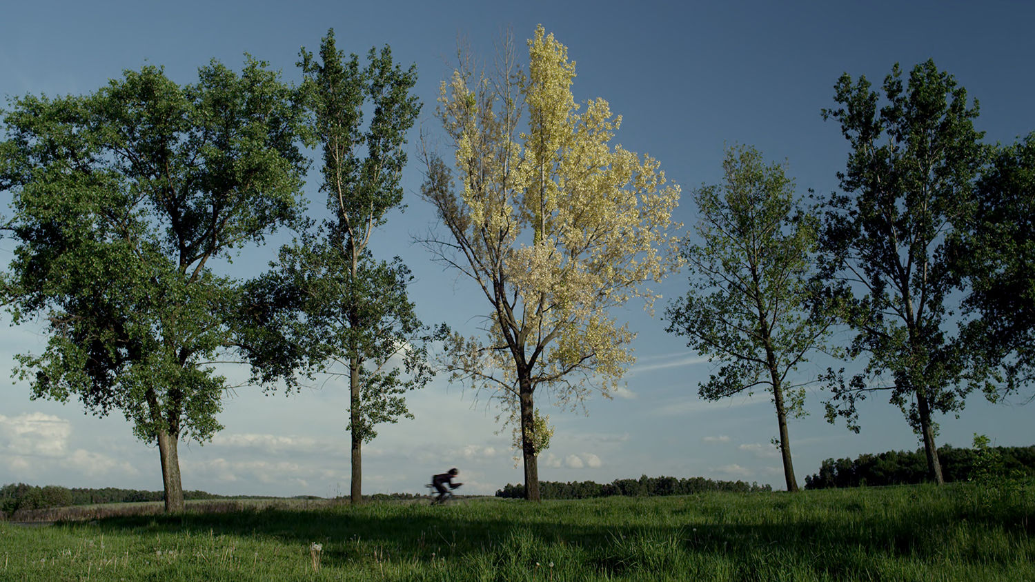 Guido van der Werve, Nummer veertien, home, 2012