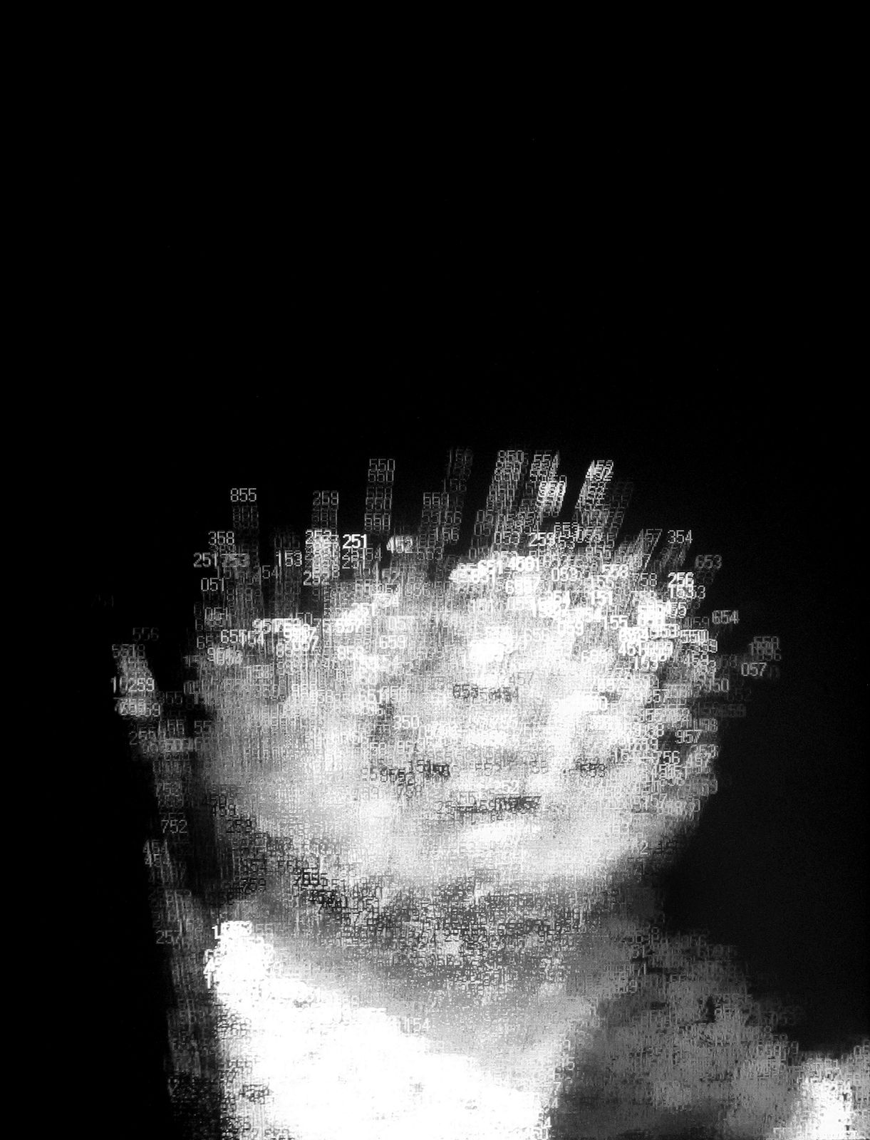 Charles Sandison, Hiroshima, 2004