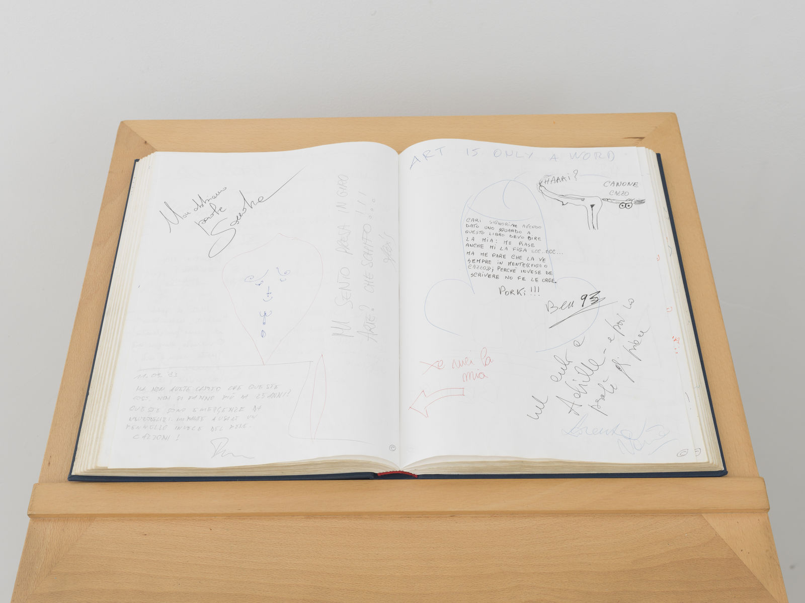 Maria Eichhorn, Libro Aperto, 1993