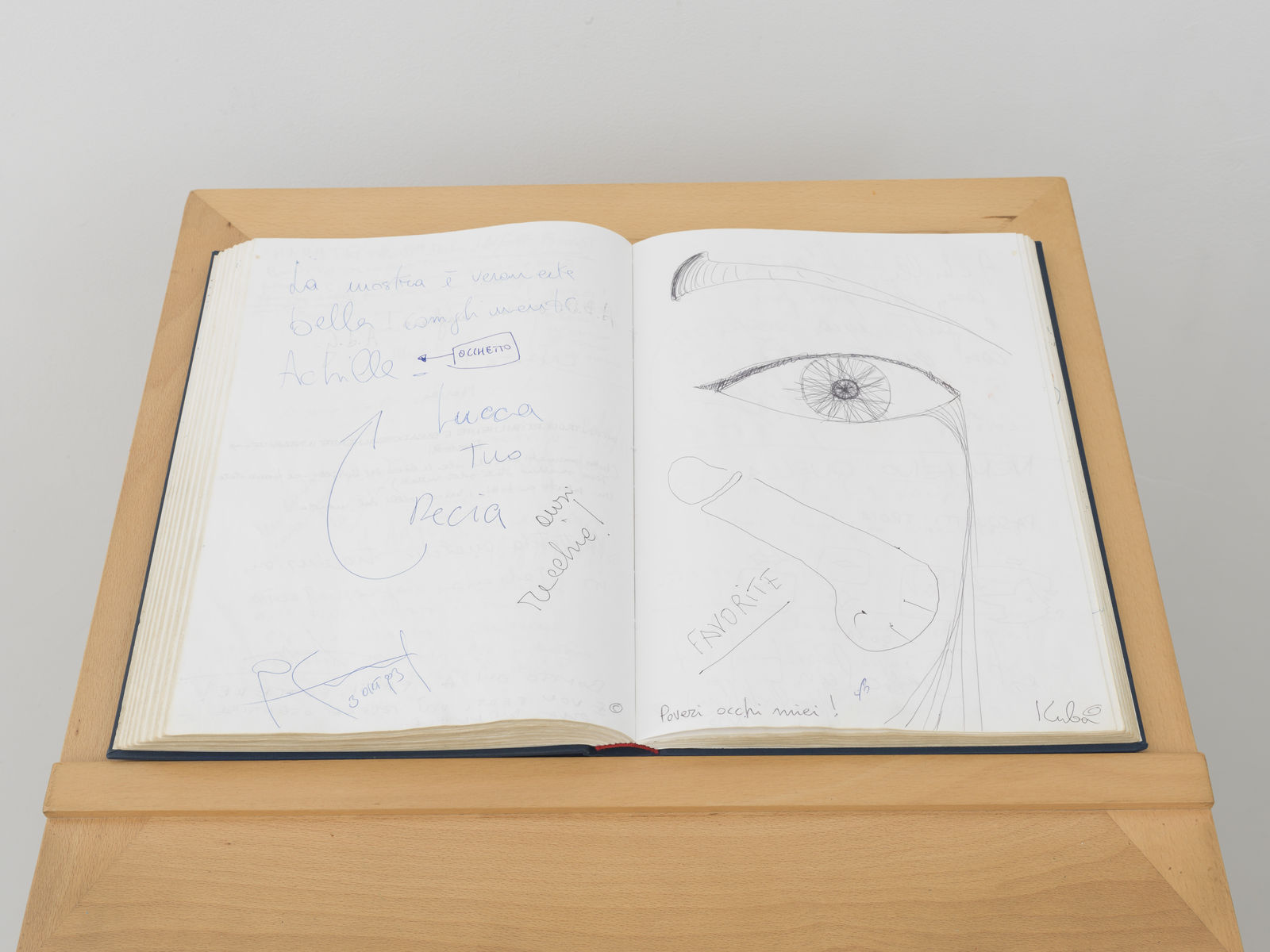 Maria Eichhorn, Libro Aperto, 1993