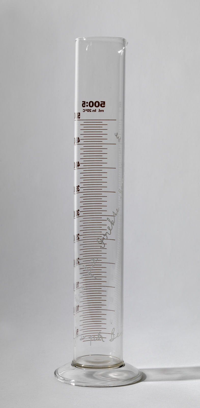 Joseph Beuys, Rose for Direct Democracy, 1973