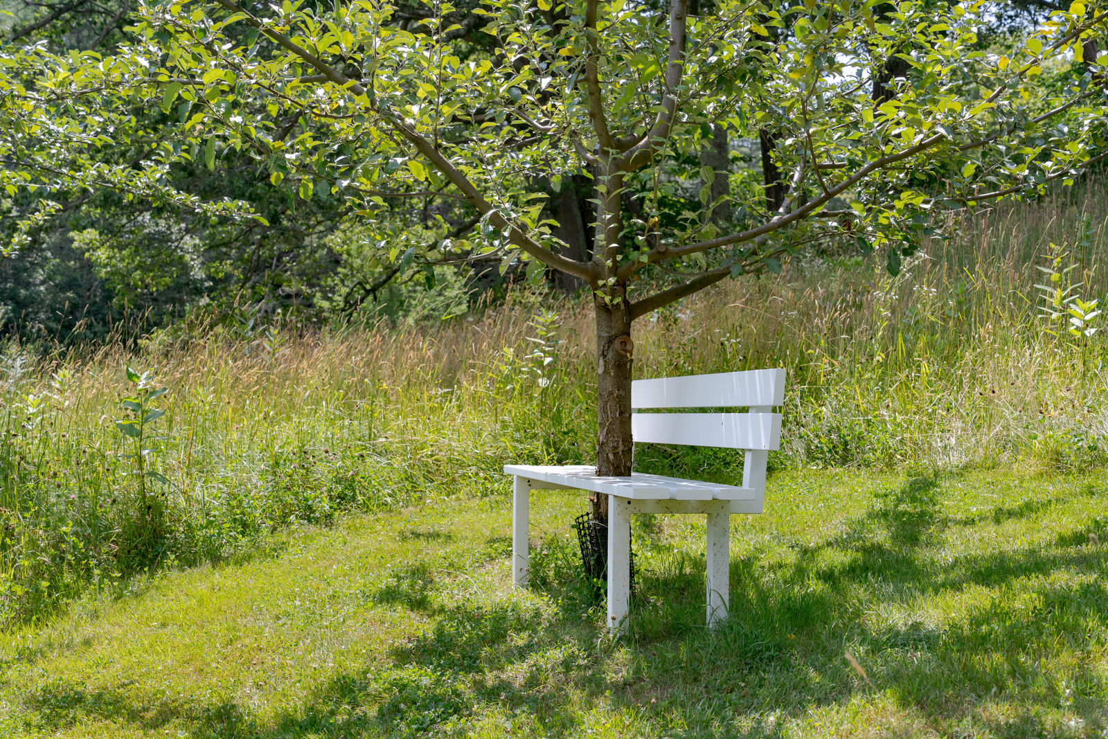 Jeppe Hein, Modified Social Bench #34, 2012