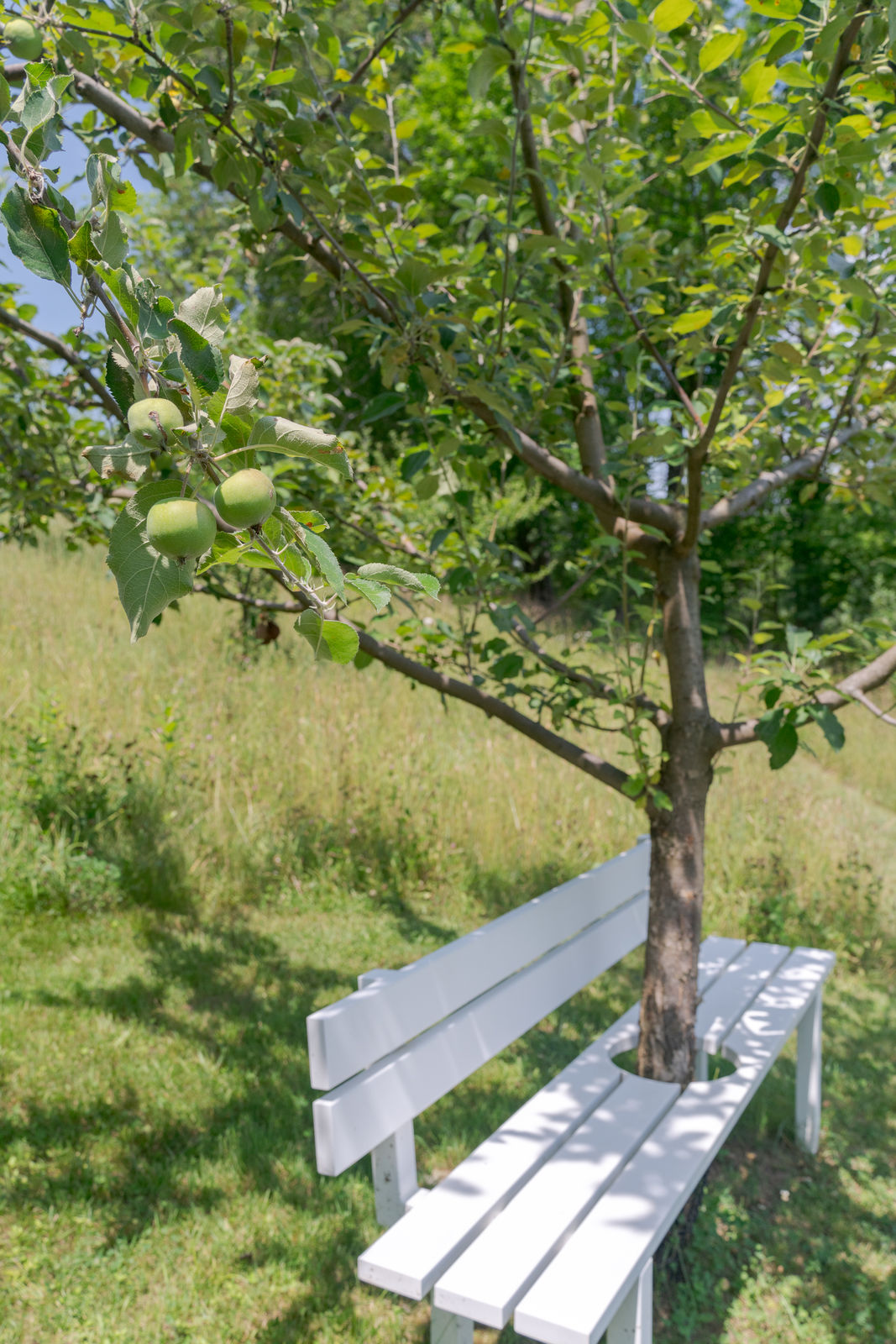 Jeppe Hein, Modified Social Bench #34, 2012
