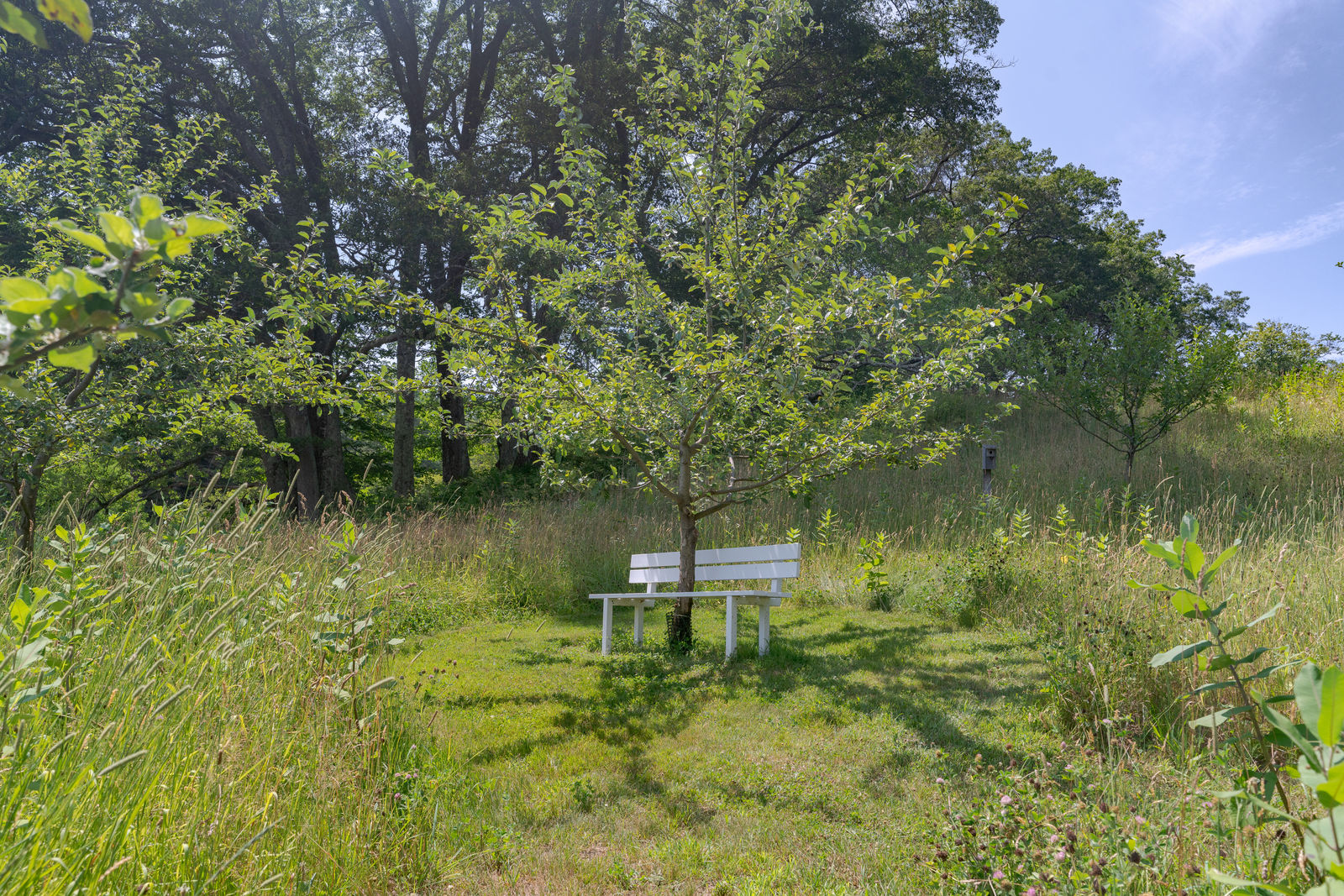 Jeppe Hein, Modified Social Bench #34, 2012