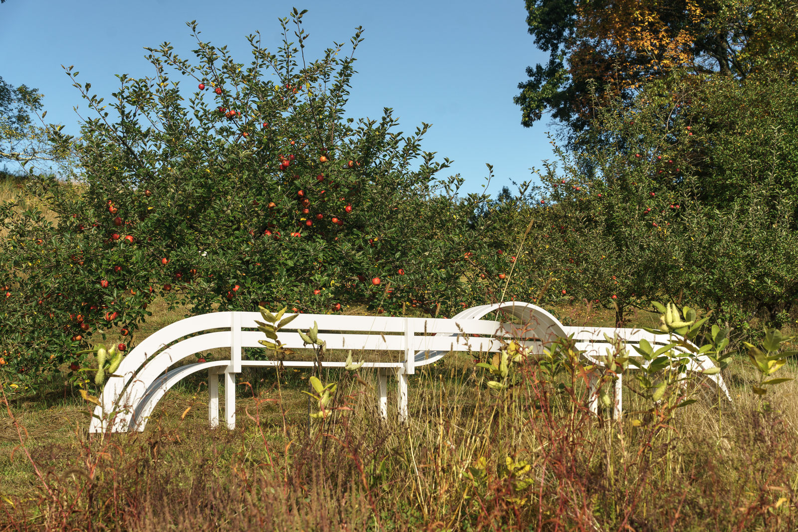Jeppe Hein, Modified Social Bench #41, 2015
