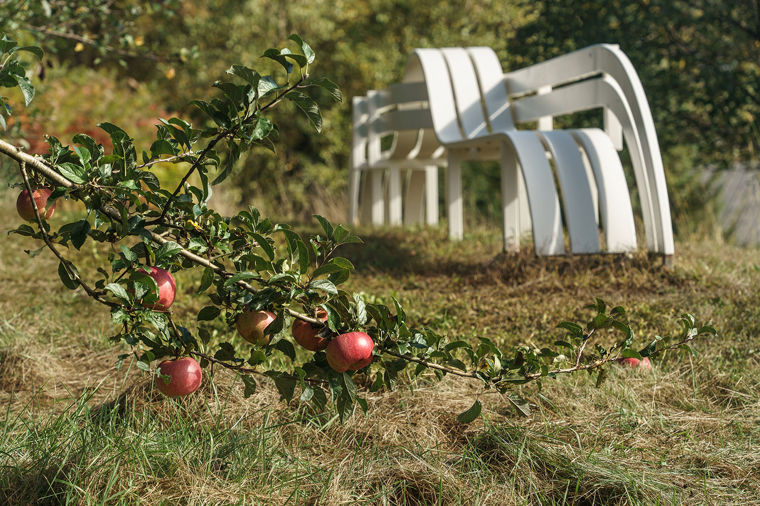 Jeppe Hein, Modified Social Bench #41, 2015