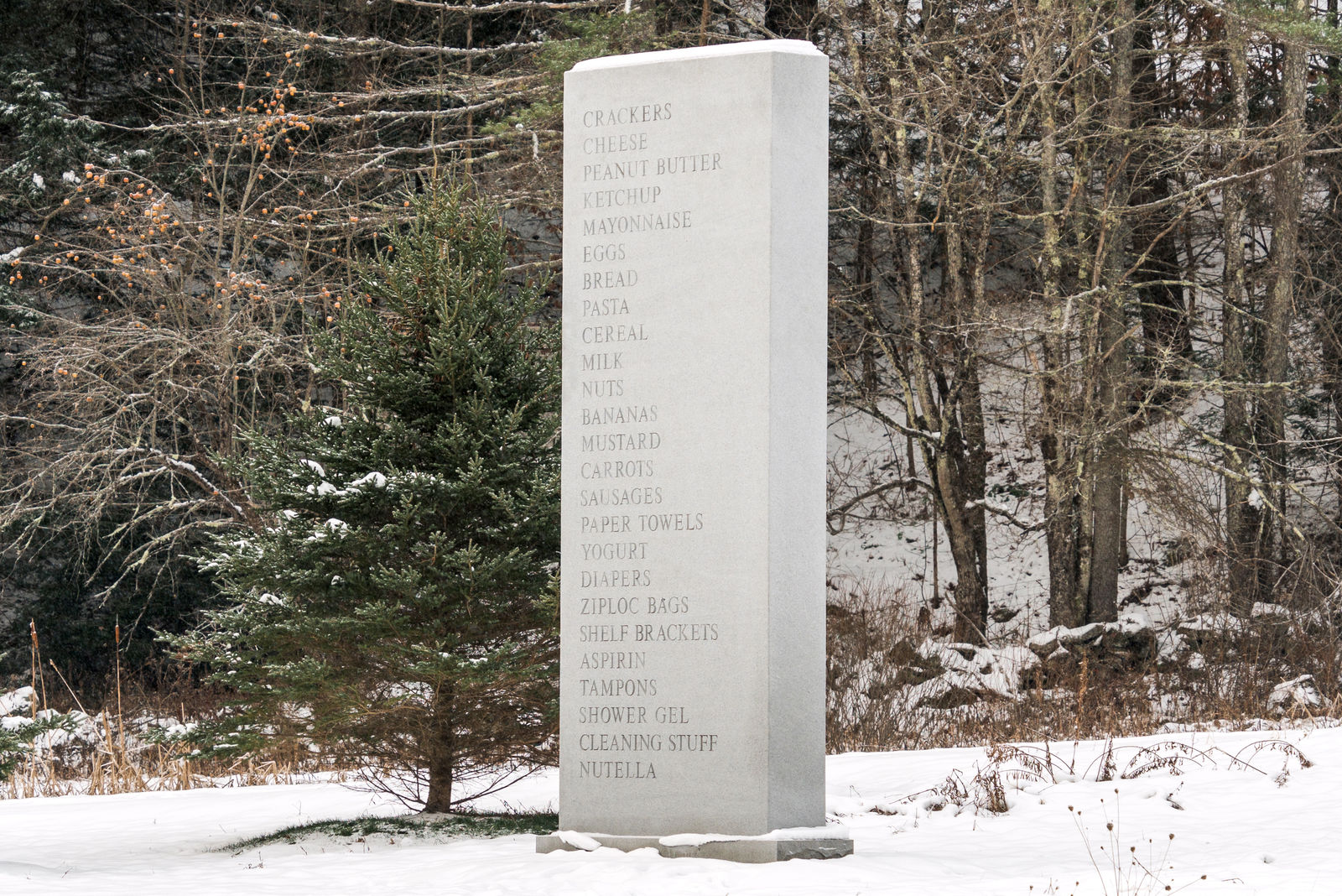 David Shrigley, Memorial, 2016
