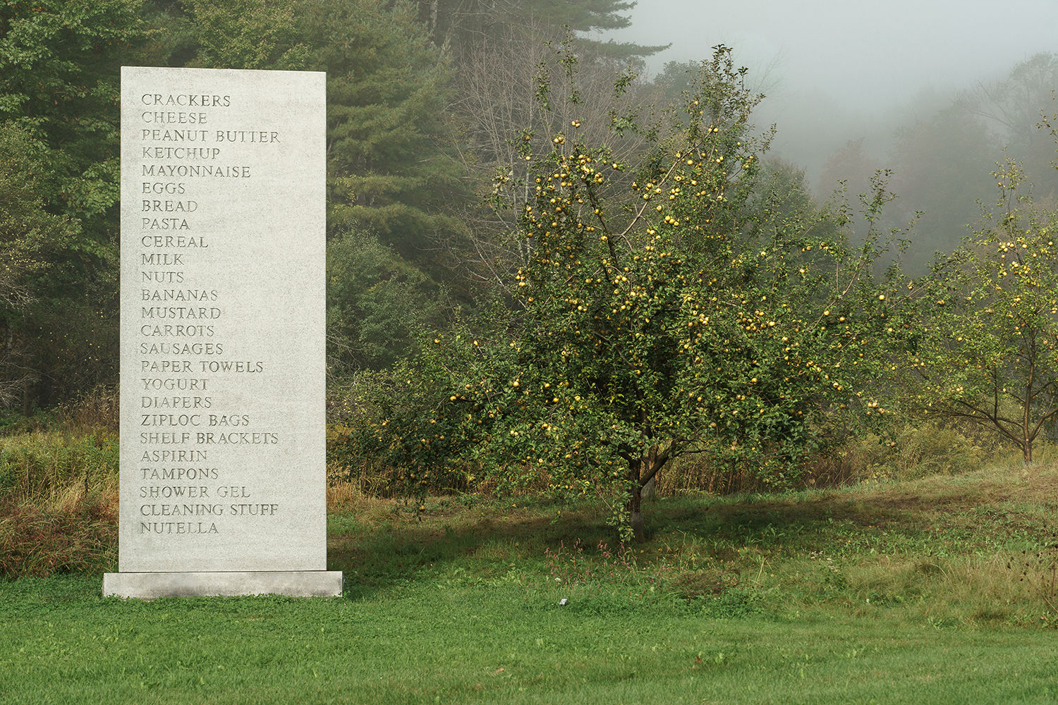David Shrigley, Memorial, 2016