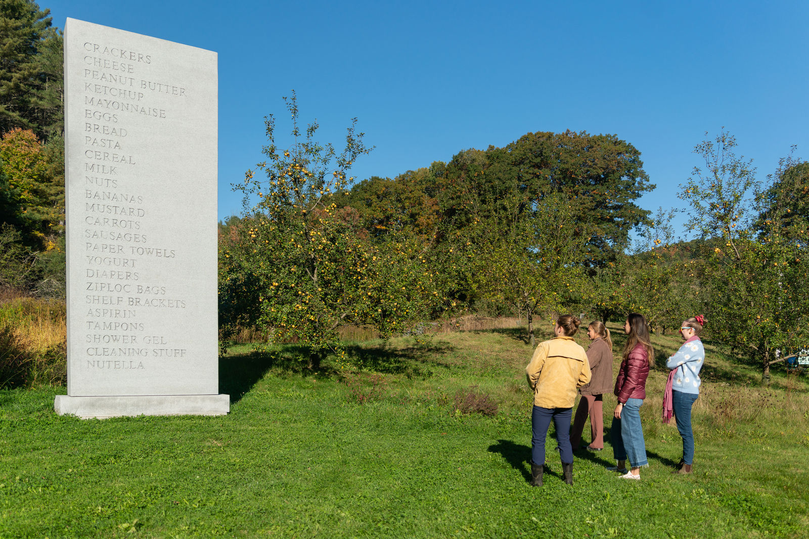 David Shrigley, Memorial, 2016