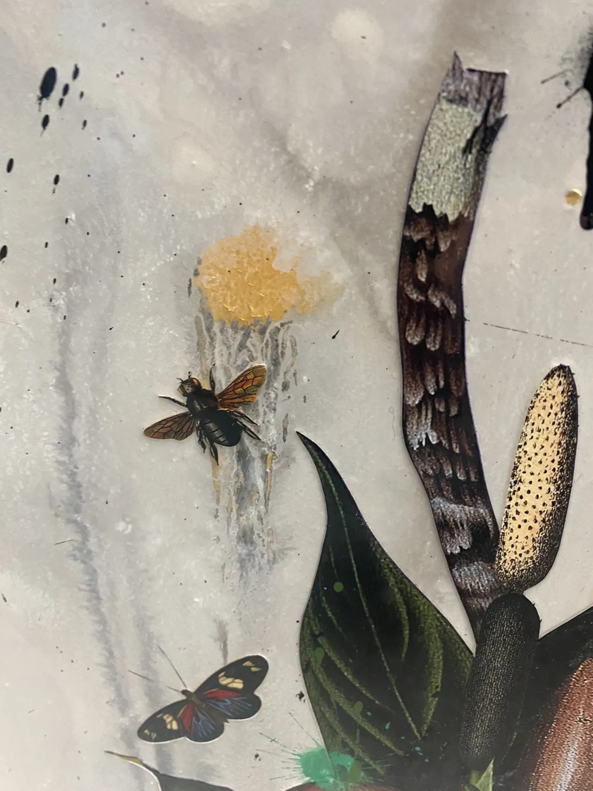 SPIRIT OF THE FOREST (CREAM)