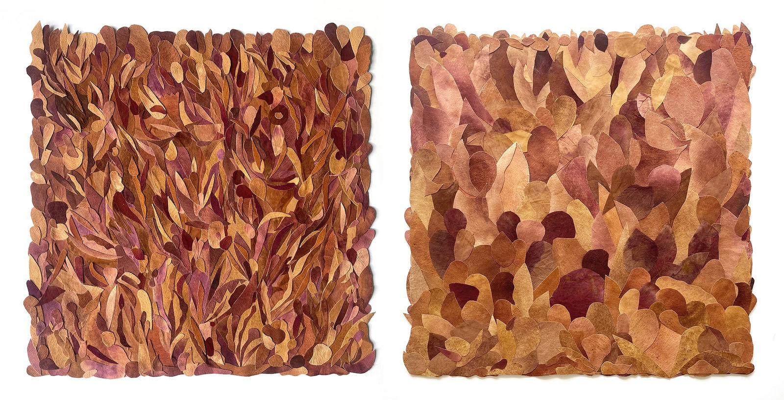 Utopia Botanica ll, 2023