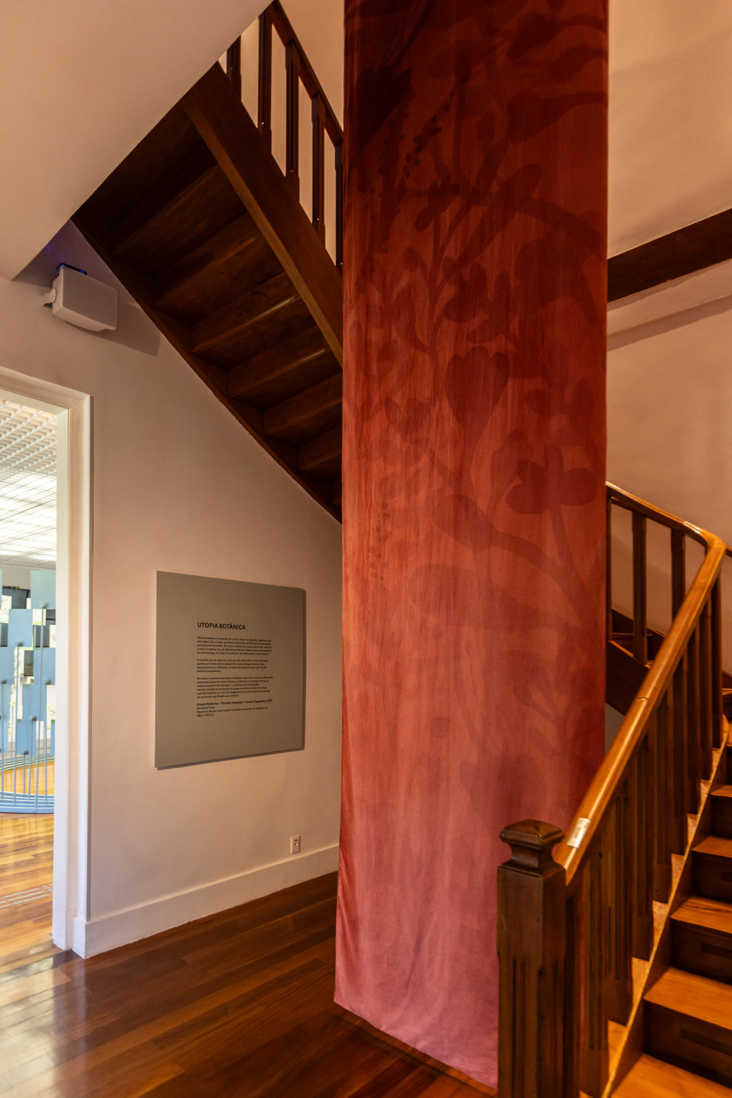 Utopia Botânica (Exhibition Hall) | Vanishing Forest / Vanishing Names (Stairs), 2025