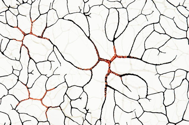 Vena Cuprum, 2018 Iron & copper wire, paper pulp 200 x 400 cm