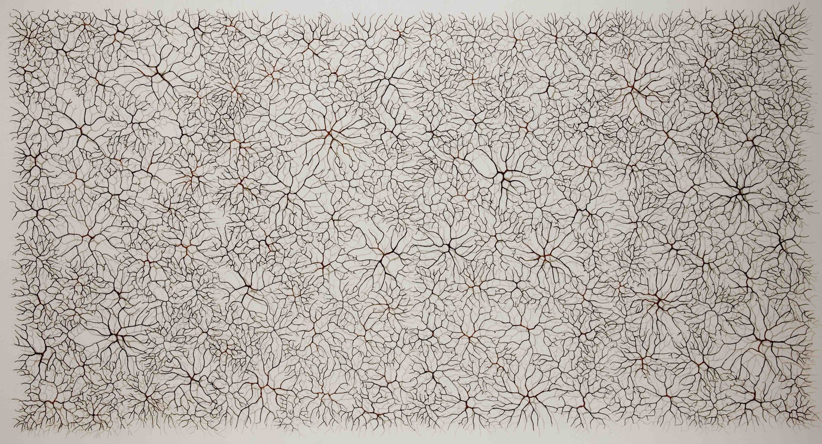 Vena Cuprum, 2018 Iron & copper wire, paper pulp 200 x 400 cm