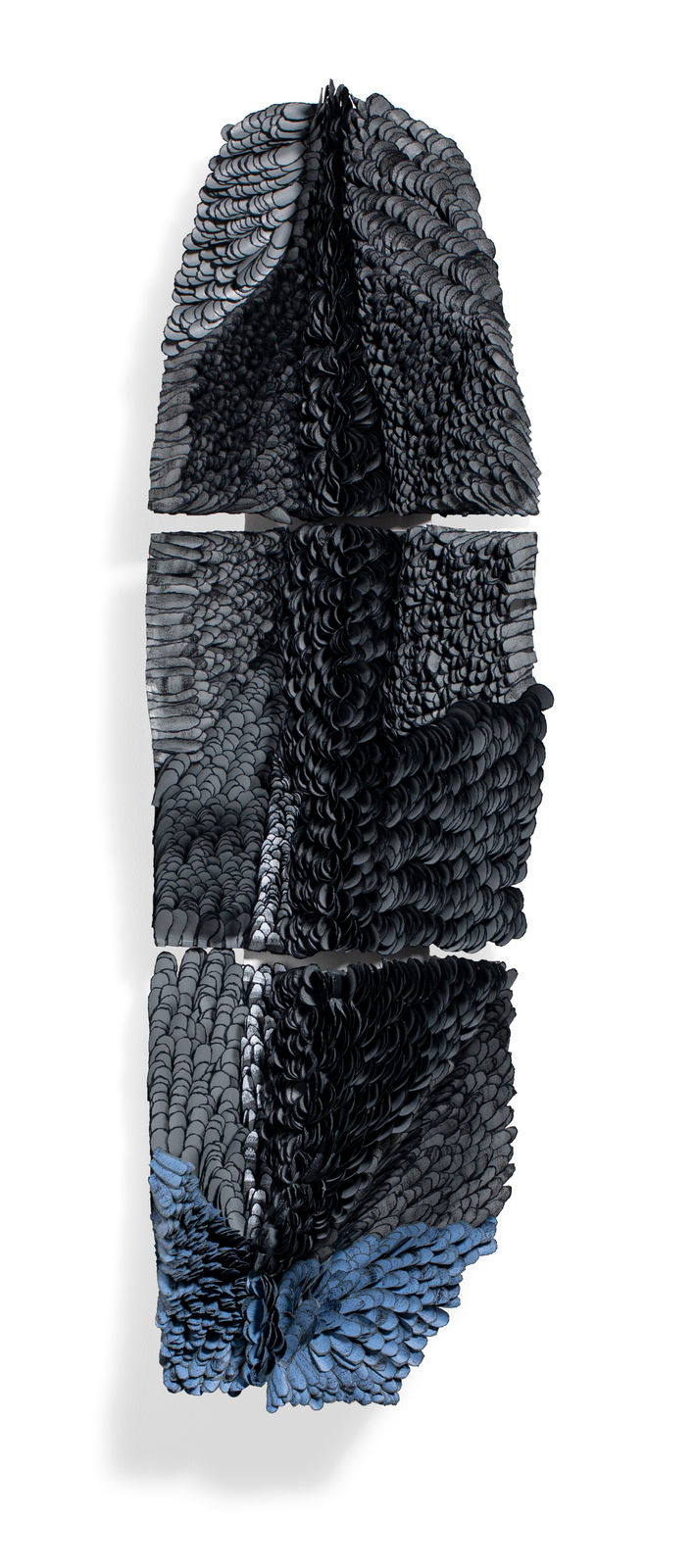 Wings of Beauty , 2019