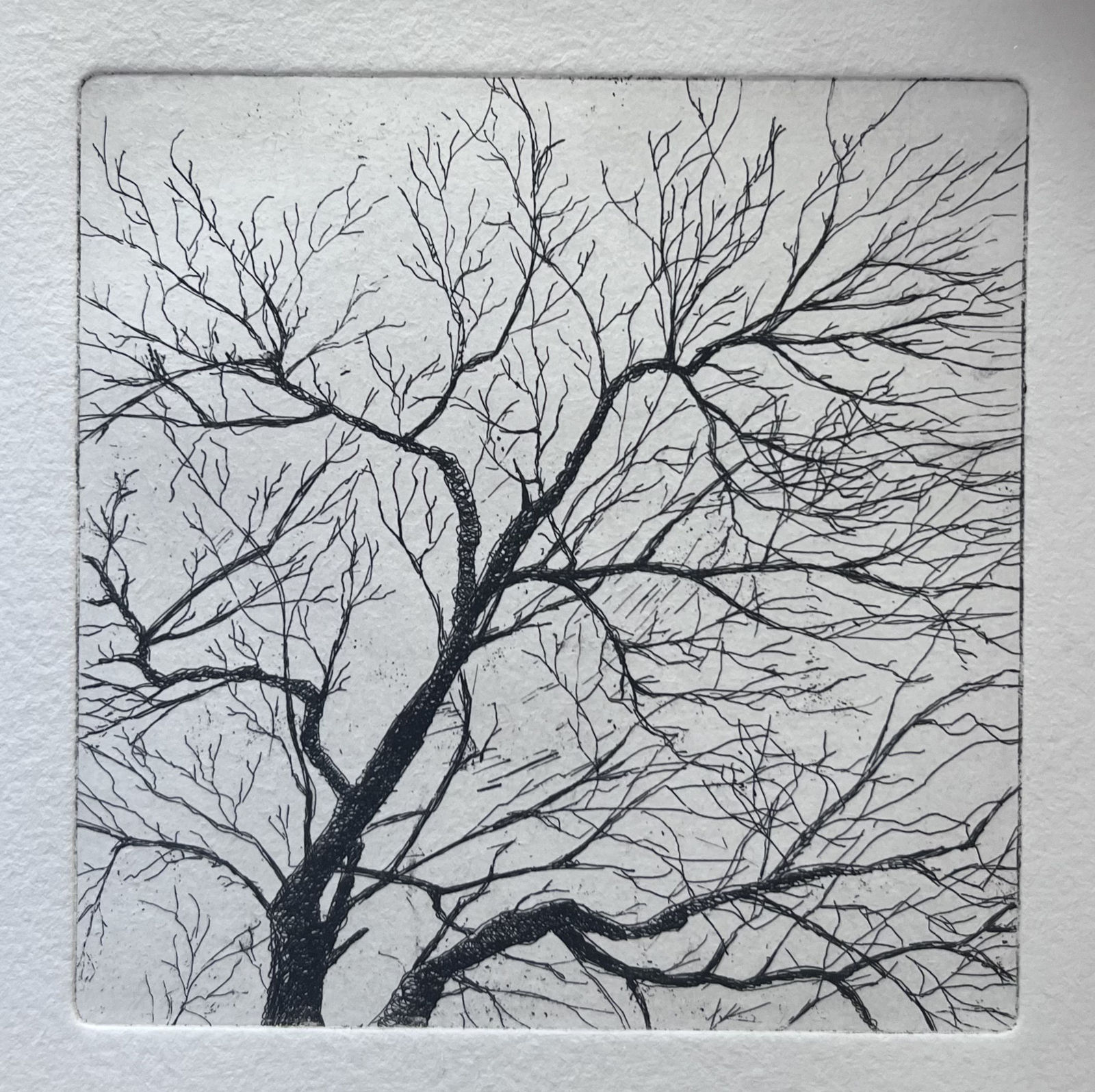 Elisabeth Boerwinkel, Achter Lies, Terschelling