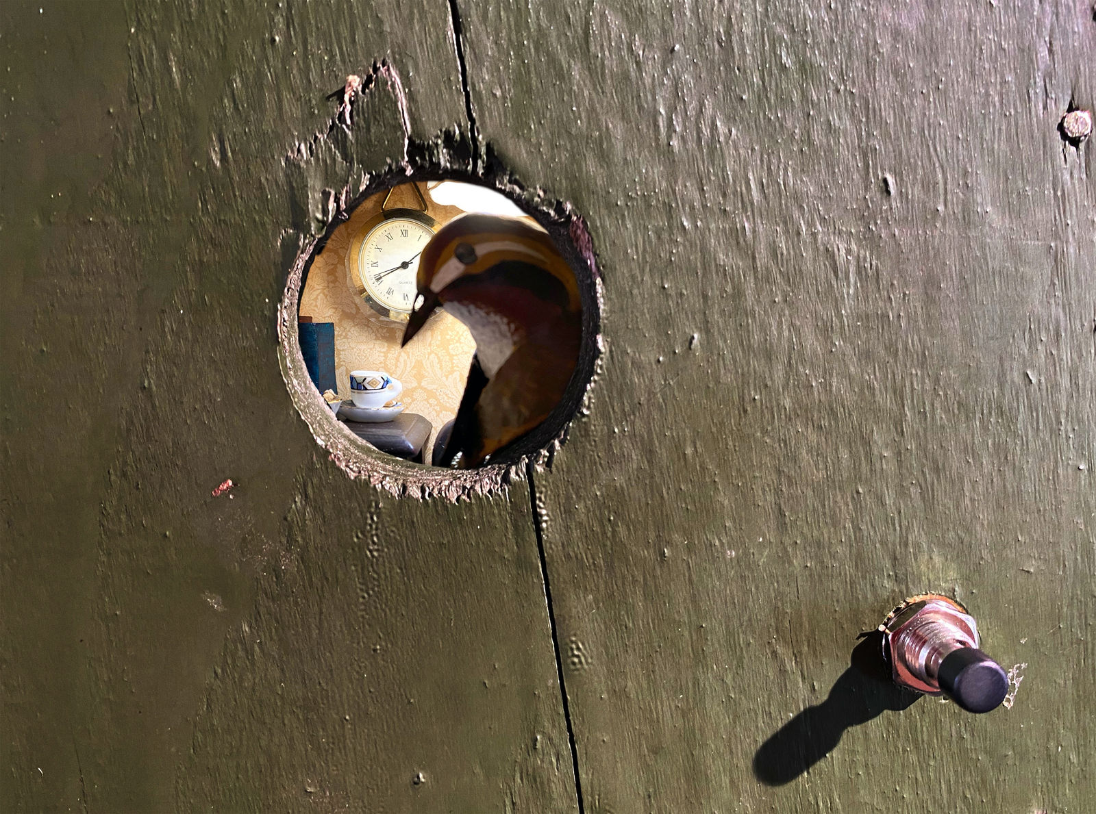 Fou de Coucou, The Spectacular Spirit of Saint Louis