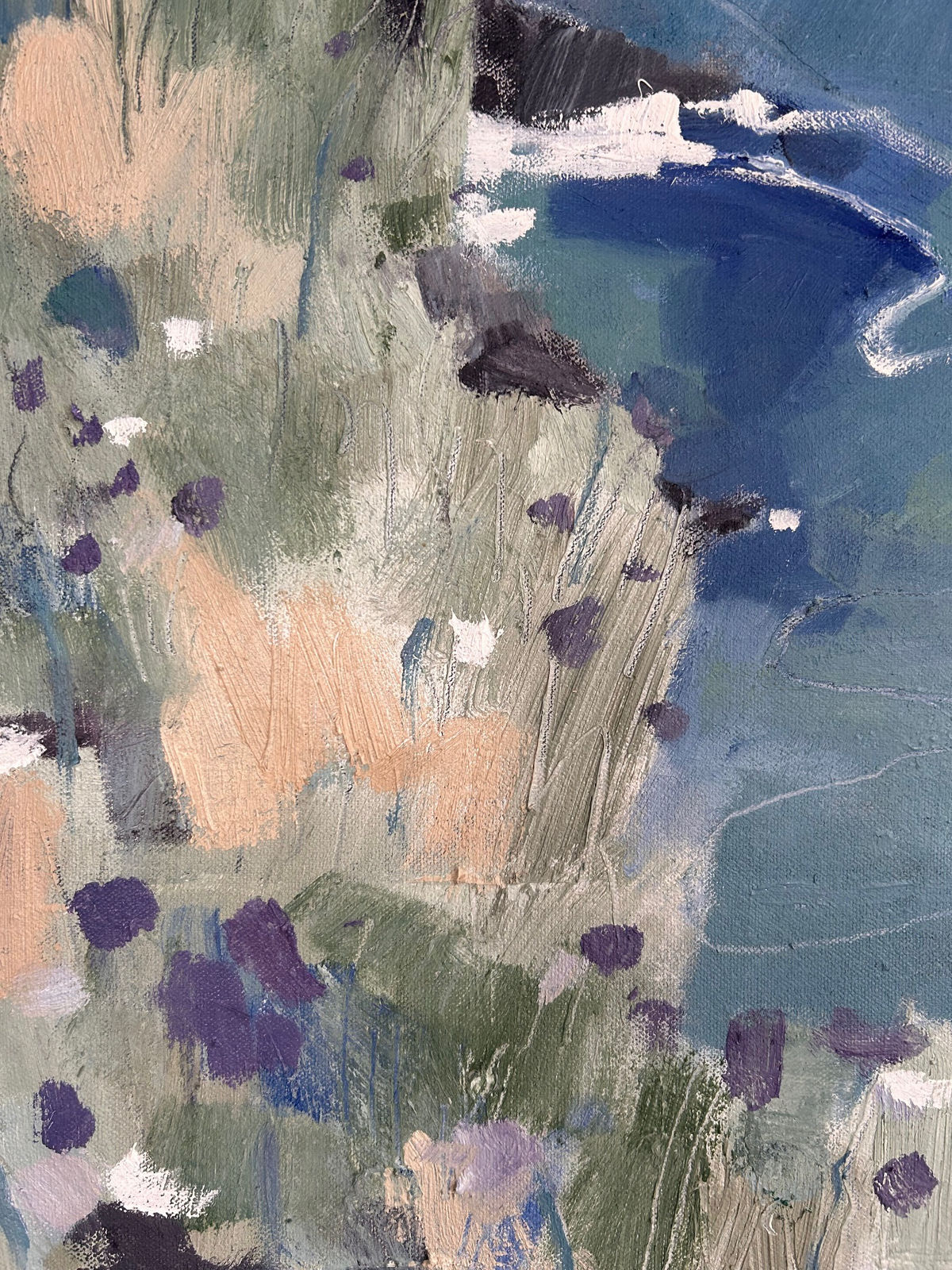 Aimee Willcock, Two Coves on a Bright Day