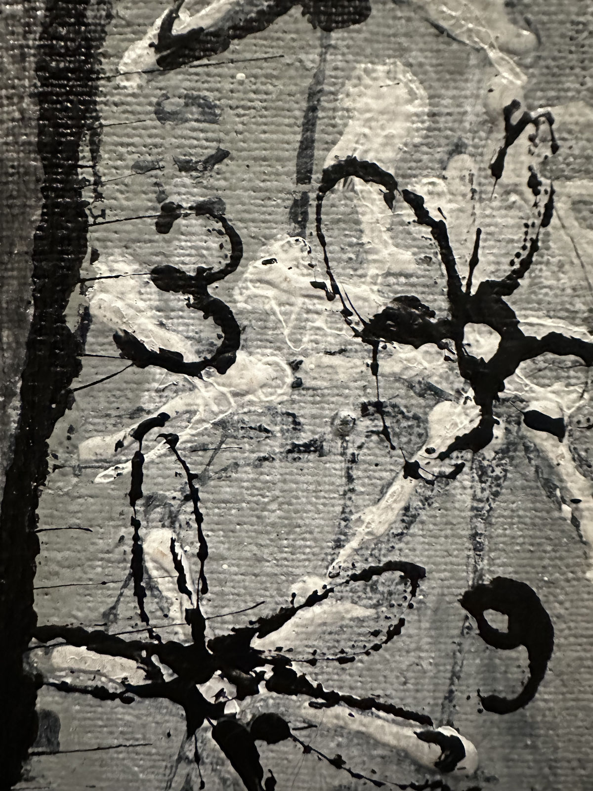 Zura, Transformation, 2025