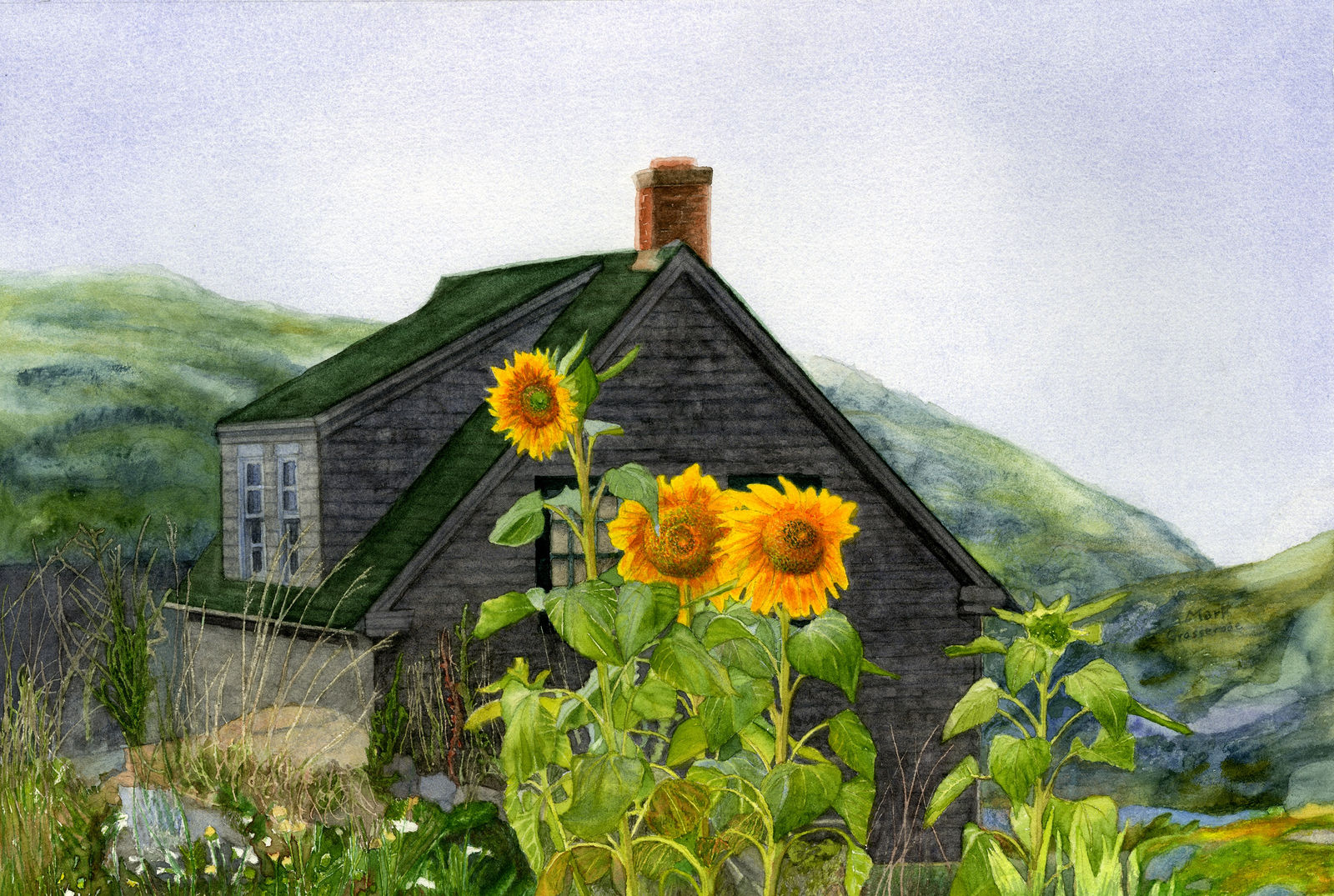 Mark Grosserode, Monhegan Sunflowers, 2016