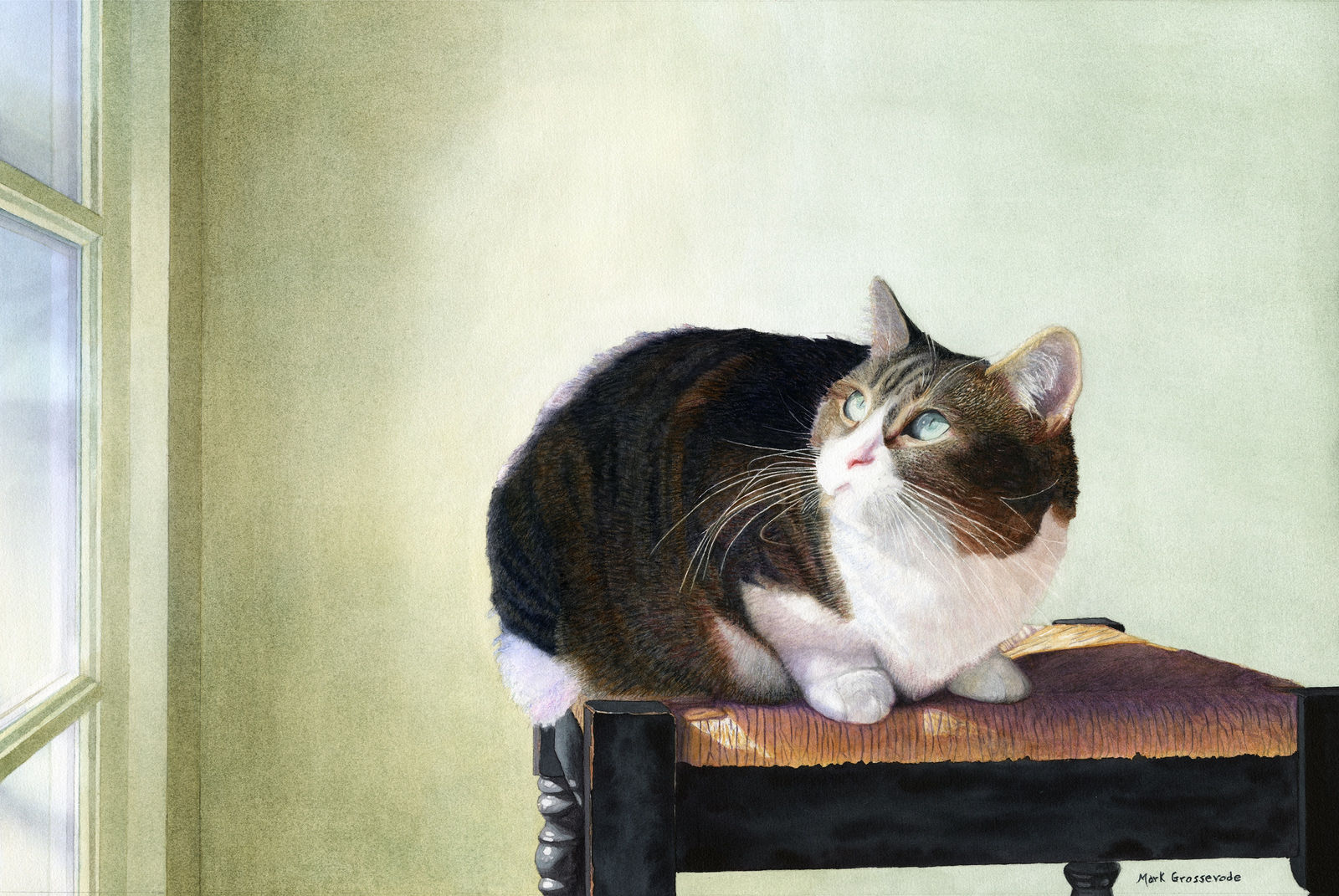 Mark Grosserode, From Above, 2015