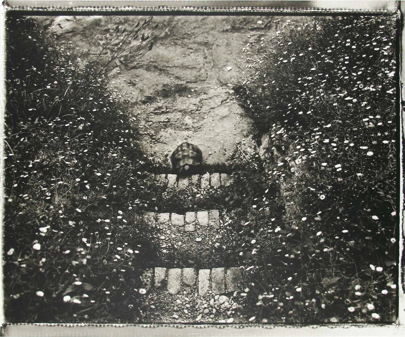 Sarah Moon, La tortue, 2000