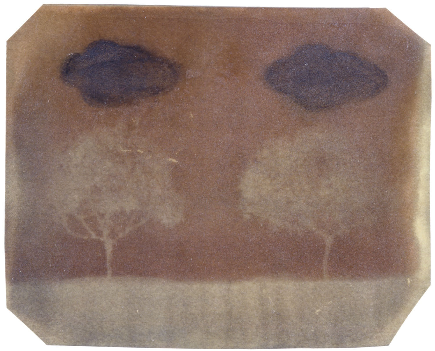 Dan Estabrook, ​Two Trees, 1998