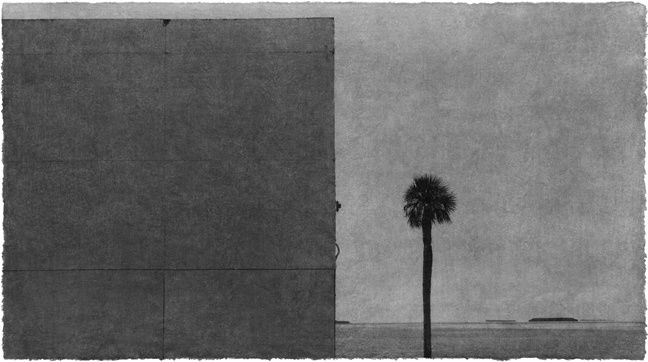 Jungjin Lee, Everglades 15, 2014