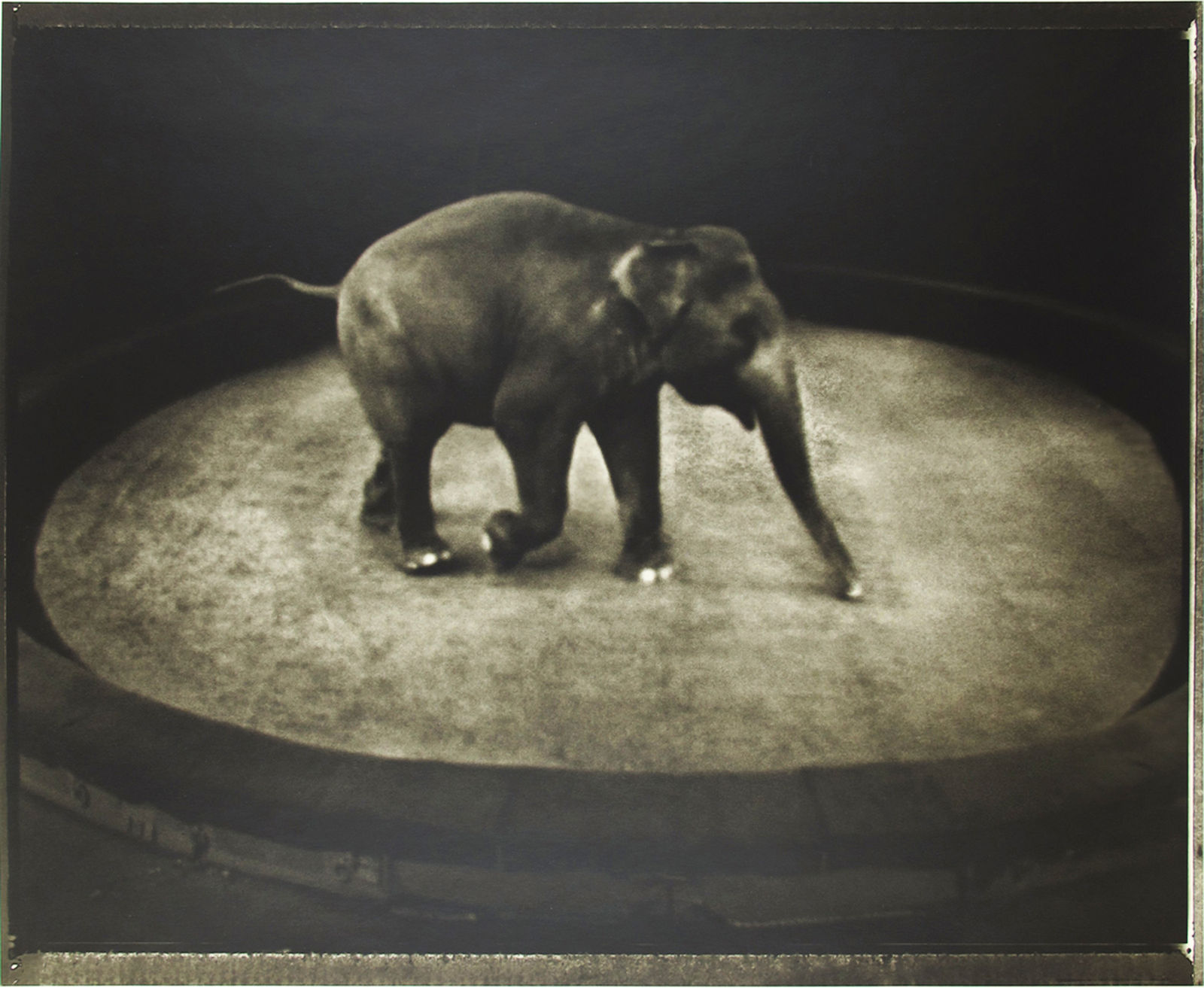 Sarah Moon, La piste, 2007