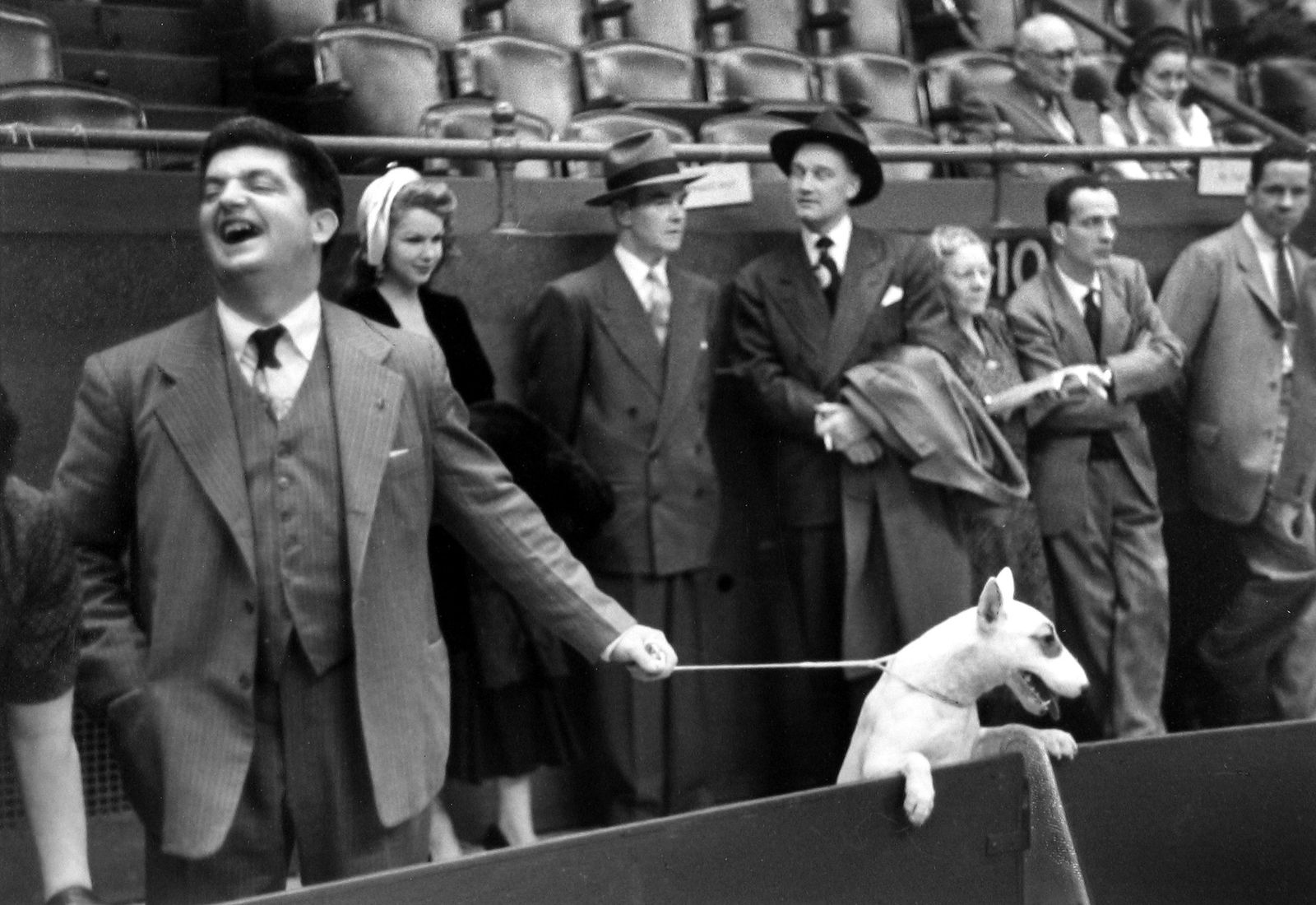 Ruth Orkin, Big Joke, Dog Show, NYC, 1948