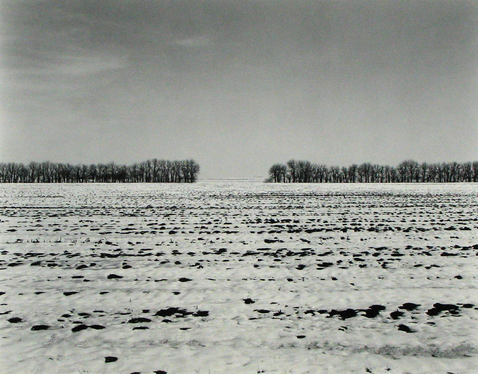 Rhondal McKinney, 933, 1981