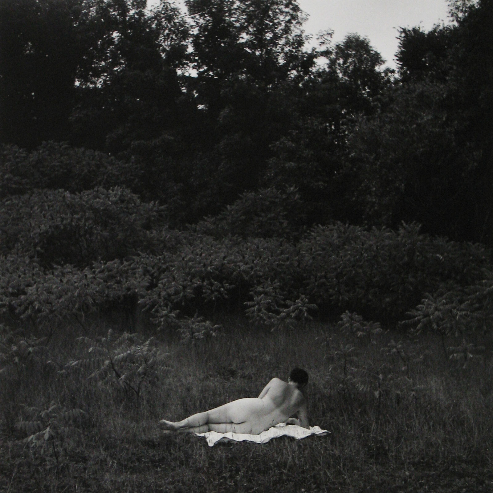 Harry Callahan, Eleanor, Port Huron, 1954