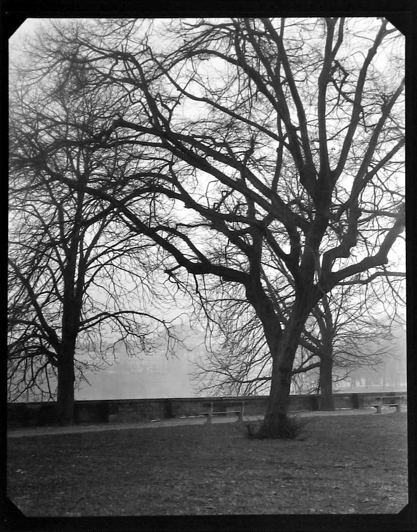 Josef Sudek, From 'A Walk on Kampa Island', 1950