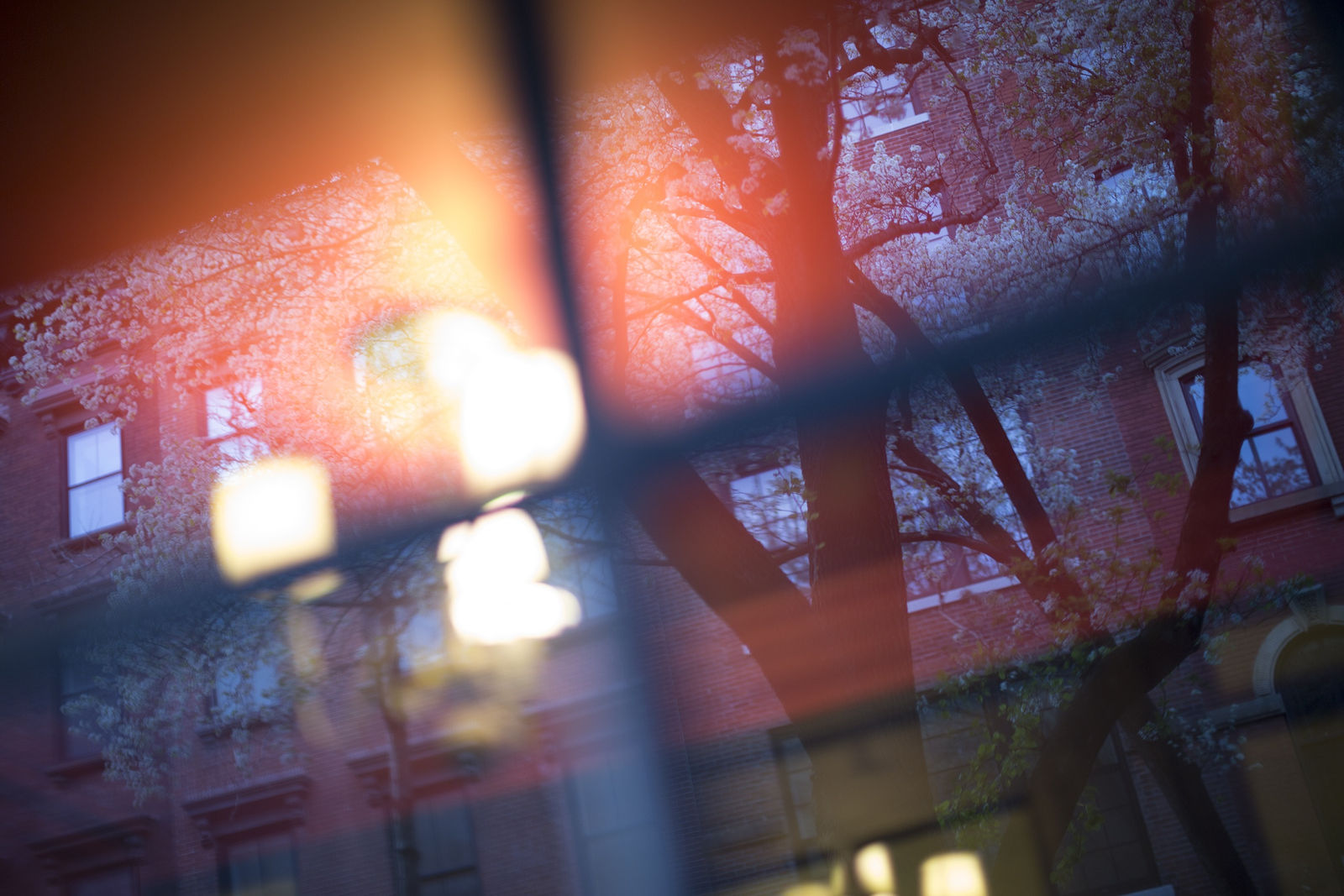 Yumiko Izu, Saul Leiter: In Stillness 95, 2018