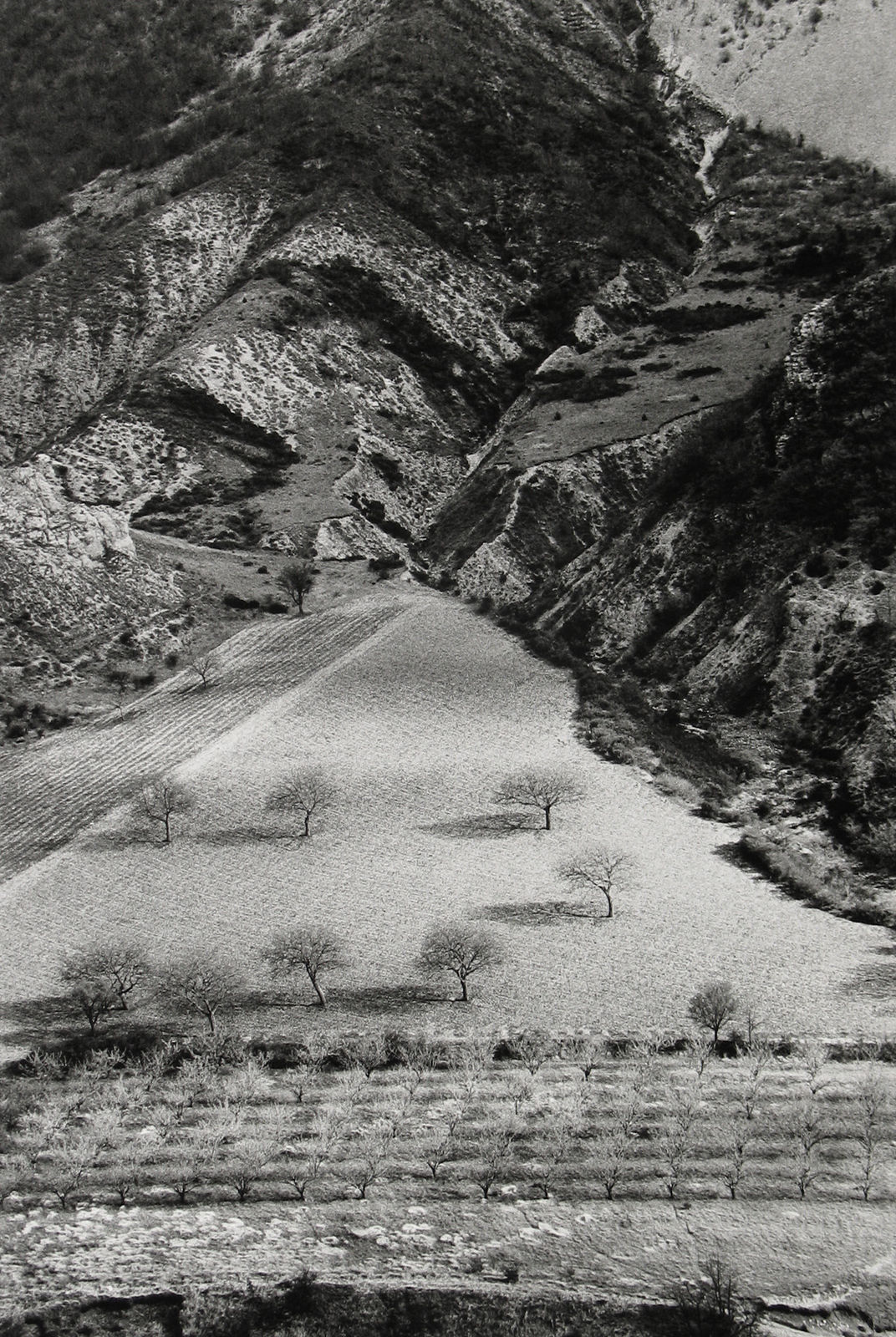 Martine Franck, Col de l'Homme Mort', Haute-Provence, 1994