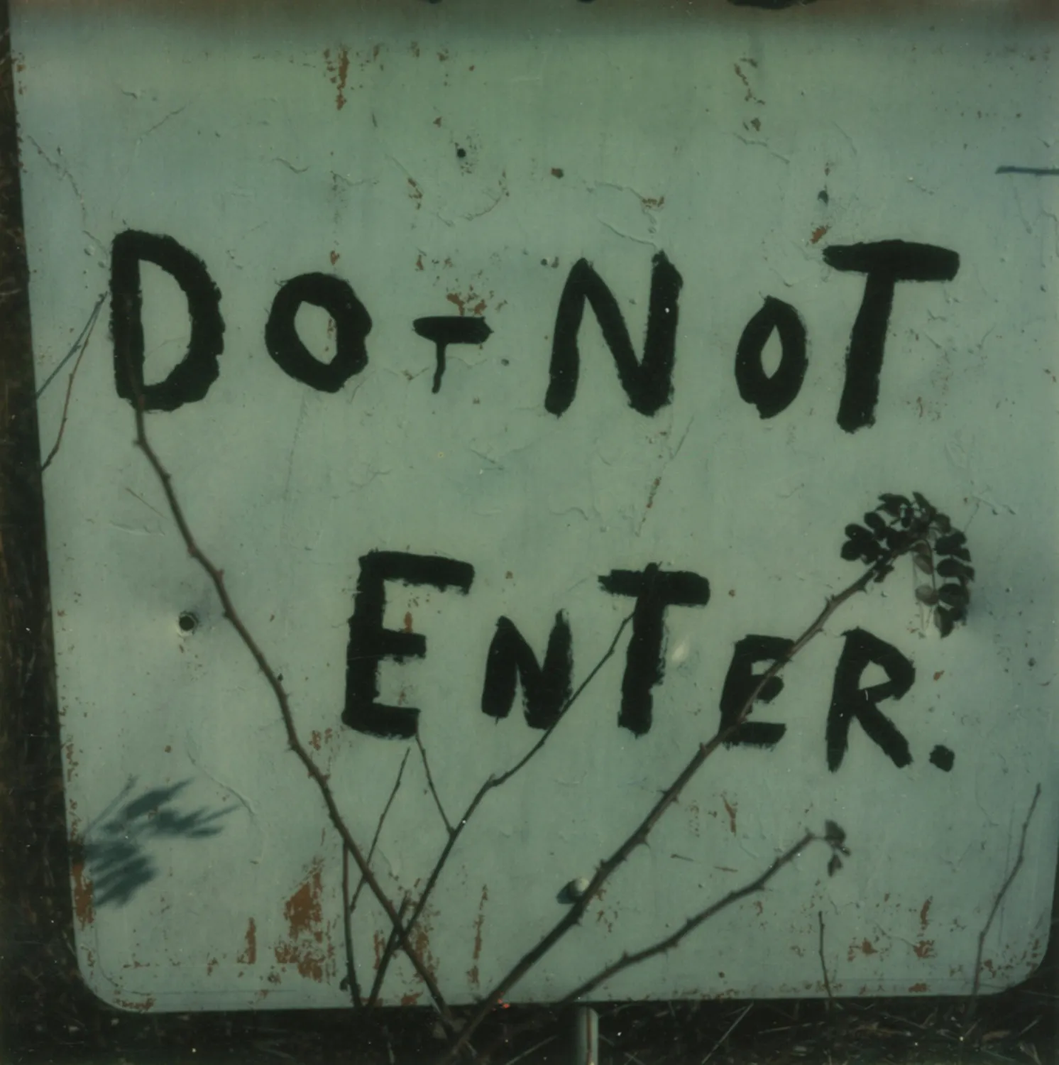 Walker Evans, Untitled (detail of 