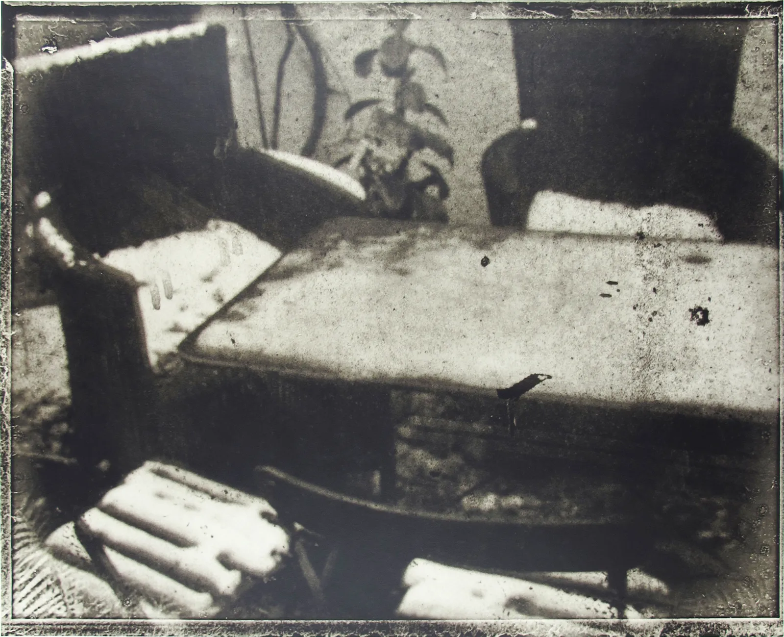 Sarah Moon, Le jardin gele, 2011