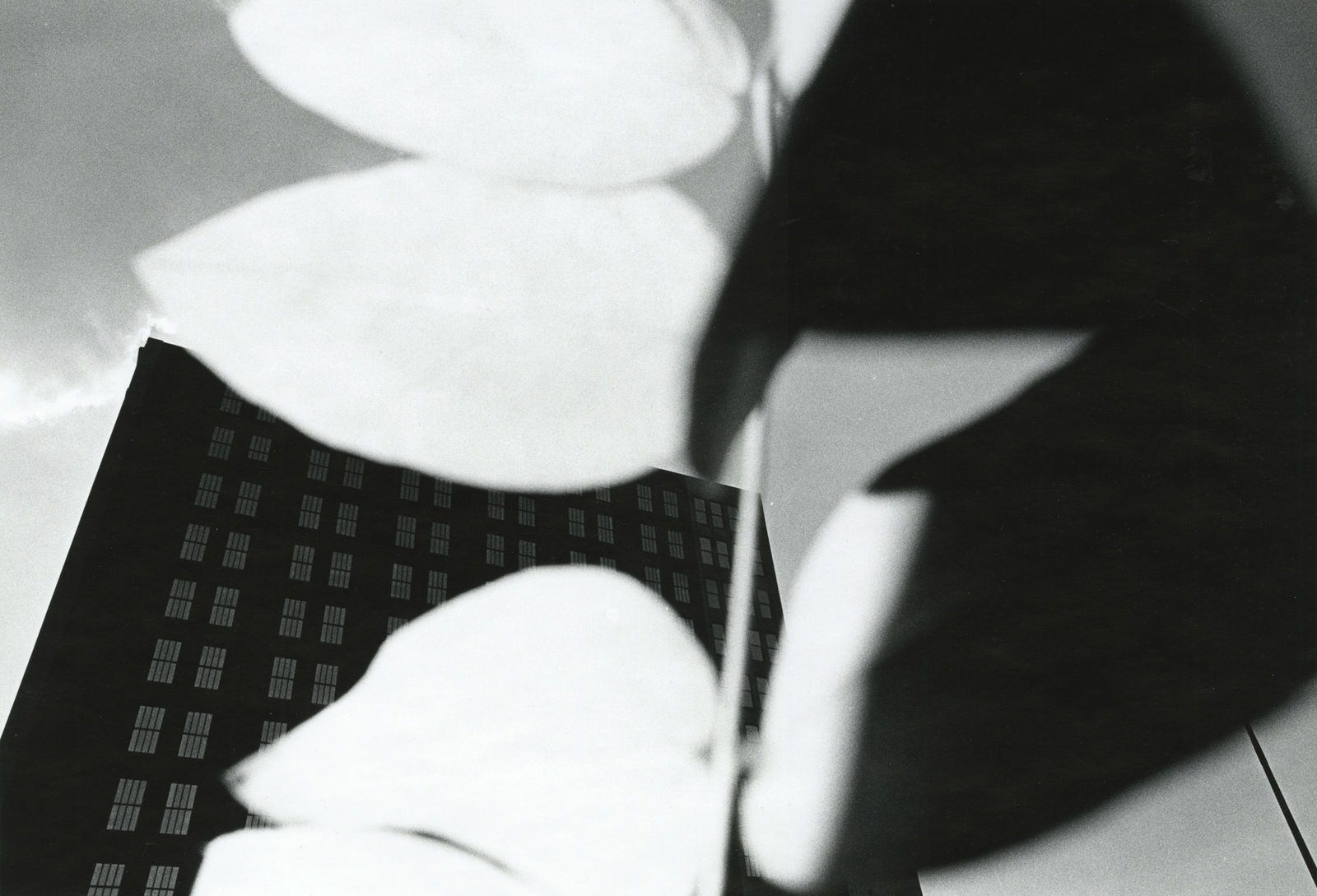 Ray K. Metzker, 80 FE-12, from 