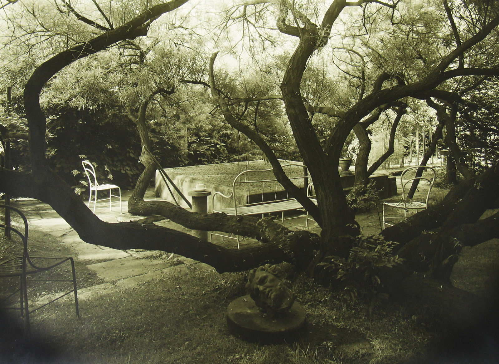 Josef Sudek, Untitled, from A Walk in the Magic Garden, c.1956