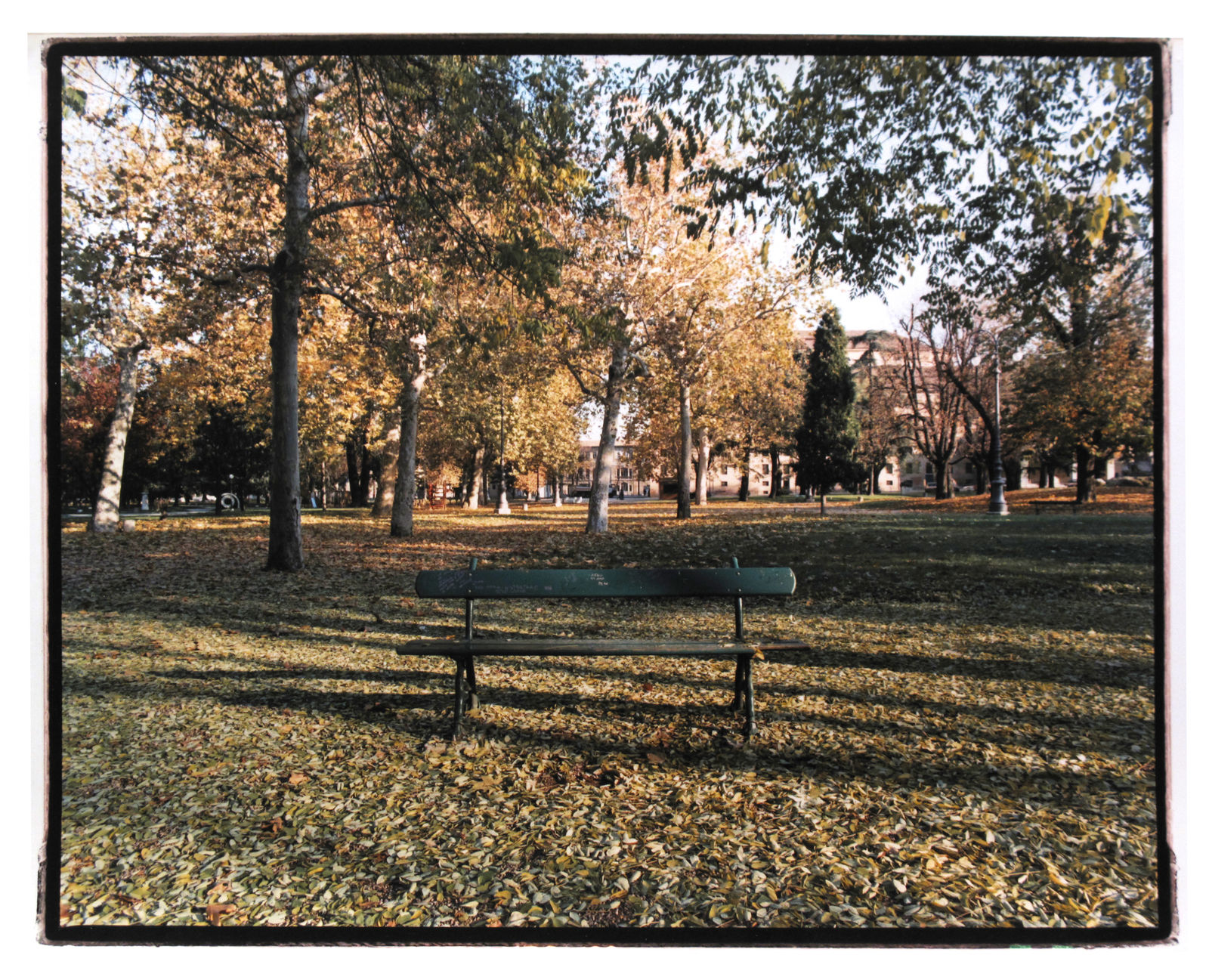 Luigi Ghirri, Giardino di Reggio Emilia, 1979