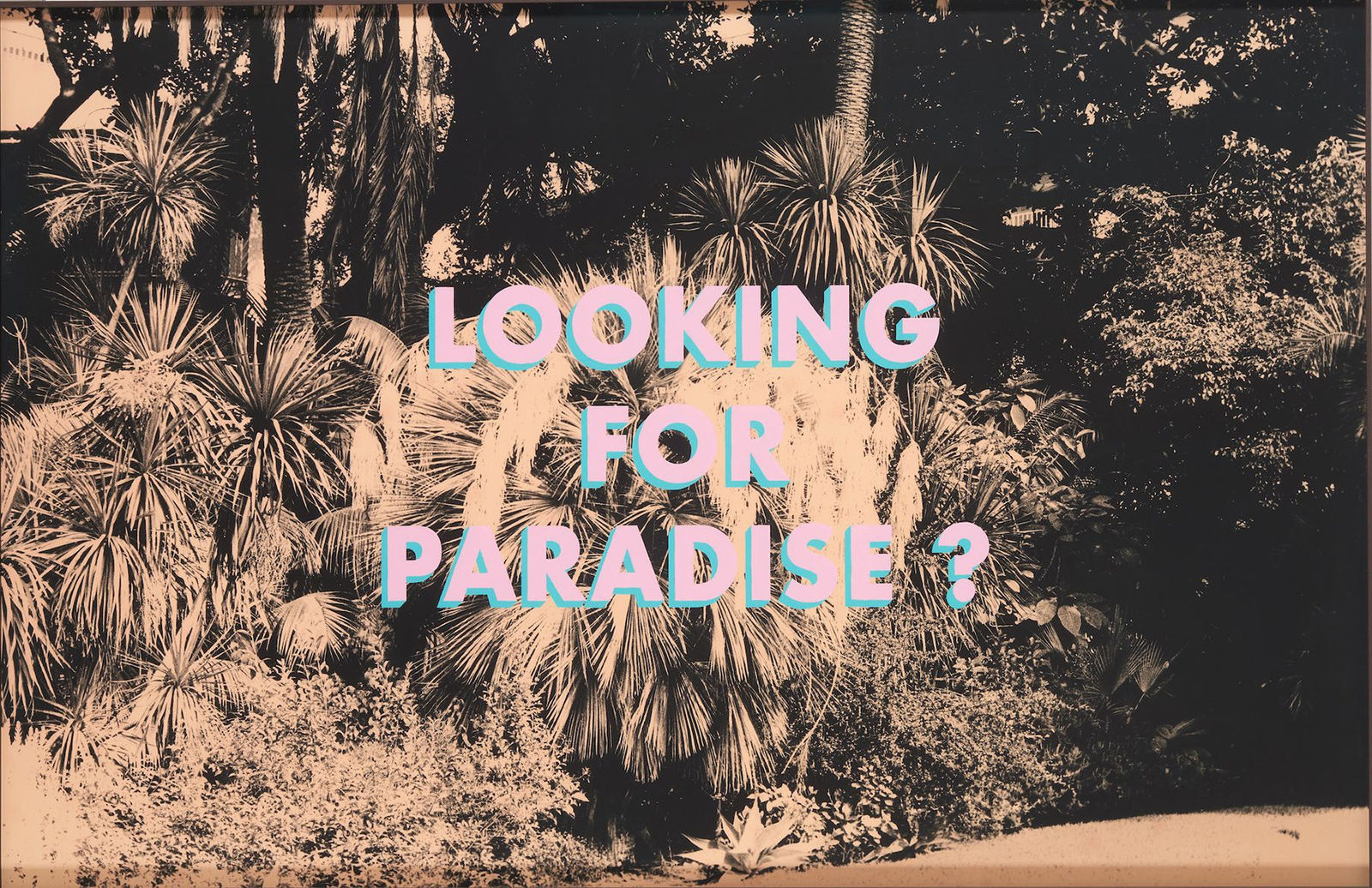 Bruno V. Roels, Looking for Paradise, 2021