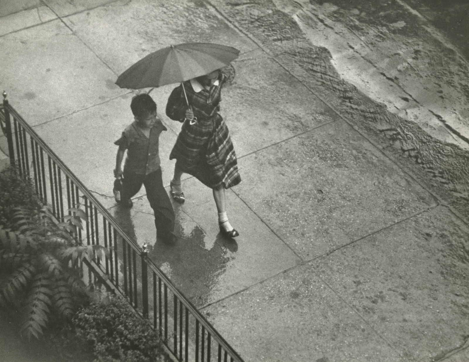 Ruth Orkin, The View from My Window at 53 W. 88th St., N.Y.C., c.1952