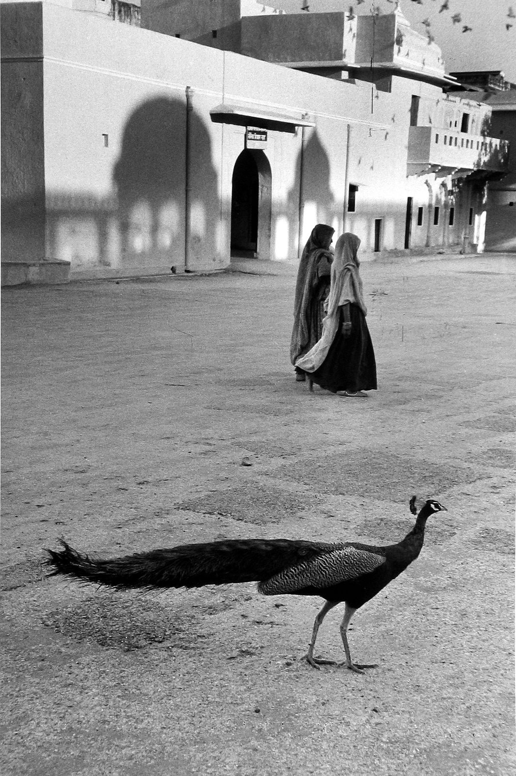 Marc Riboud, Jaipur, 1956